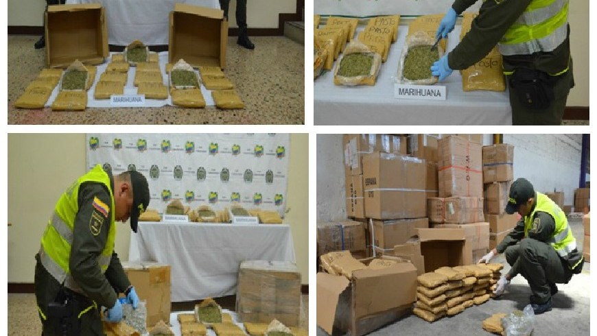 Incautan 34 kilos de marihuana que llegaron a Medellín procedentes de Cali 1 MARIHUANA POLFA APP
