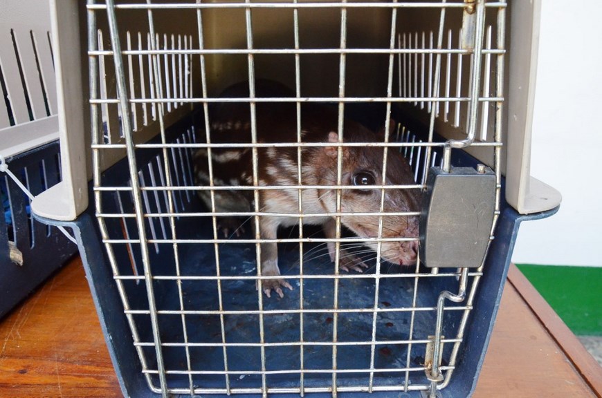 Guagua. Foto: Policía Antioquia.