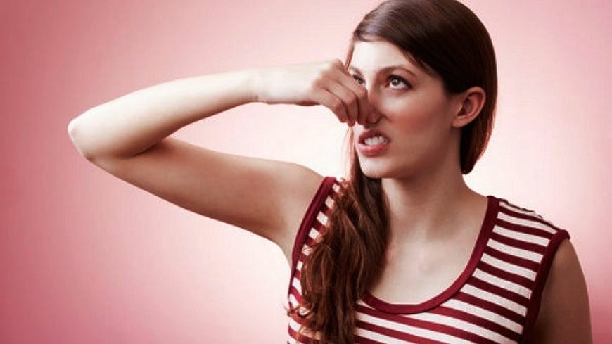 malolorpies (Copiar)