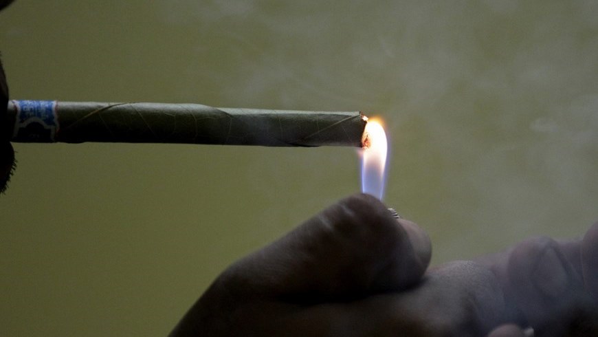 En Estados Unidos, 23 estados (casi la mitad del país) cuentan con alguna ley que permite el consumo de marihuana a pesar de que es una droga perseguida por las autoridades federales. EFE/Archivo