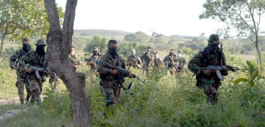 paramilitares