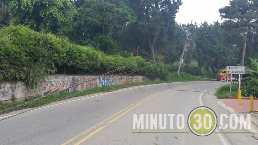 ÁRBOL CAÍDO EN CALDAS (1)