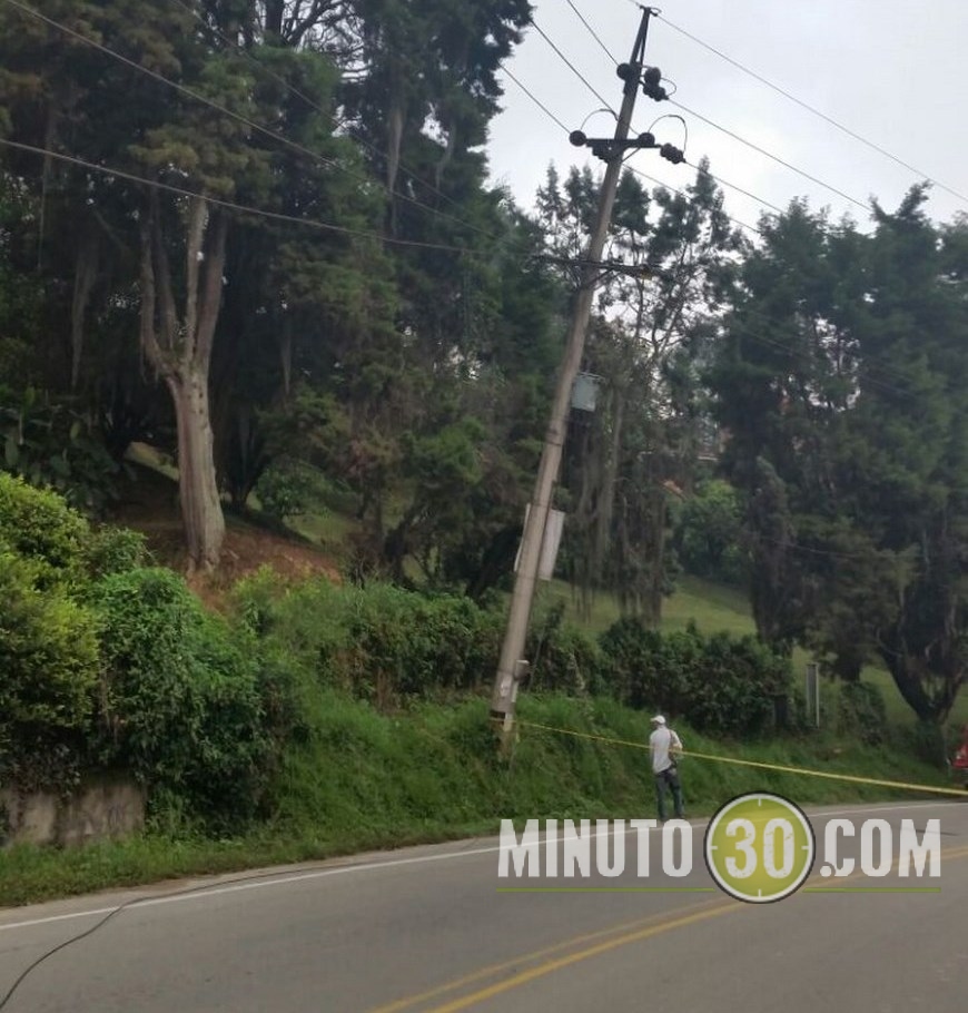 ÁRBOL CAÍDO EN CALDAS (5)