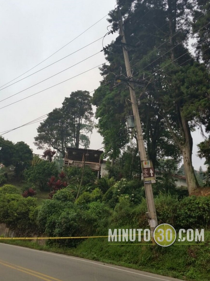 ÁRBOL CAÍDO EN CALDAS (6)
