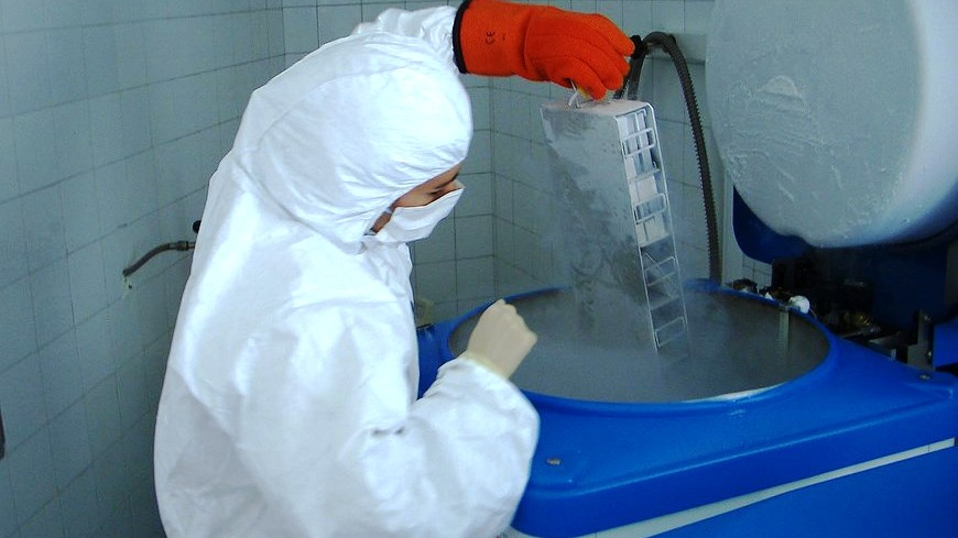 Un investigador extrae óvulos congelados de una cámara.