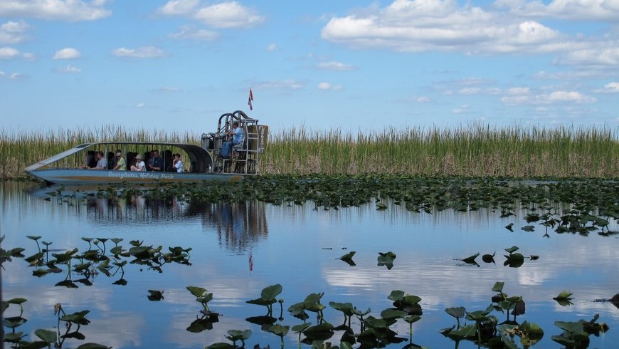 Vista del parque natural Evergaldes Holiday Park de Broward, Florida (EEUU). EFE/Archivo