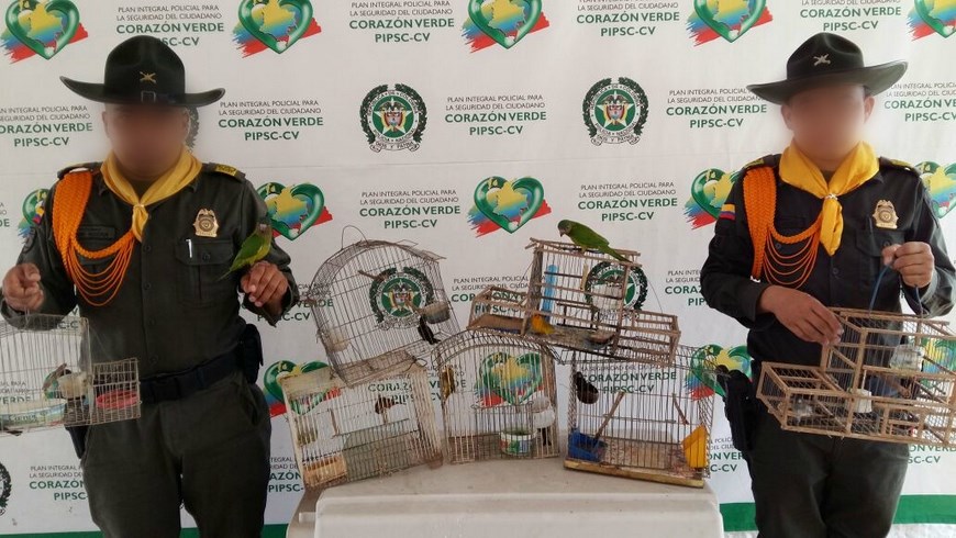 Foto: Policía Antioquia.