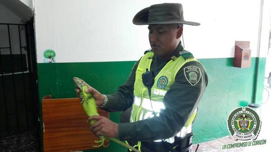 Foto: Policía Metropolitana.