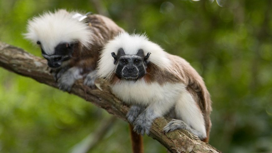 Hoffner_080713_IMG_9140 app