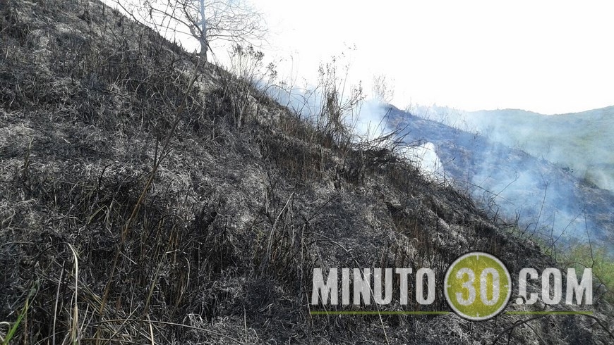INCENDIO EN LAS TRES CRUCES (3)