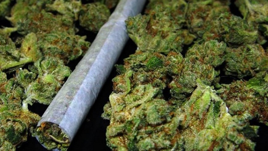 1.300 gramos de marihuana fueron encontrados en una casa del barrio Trinidad 1 Marihuana APP