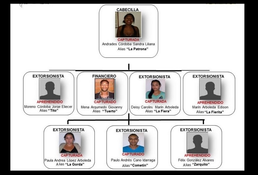 En Betania fue desarticulada una red dedicada a la extorsión y al tráfico de estupefacientes 6 Organigrama de la banda.