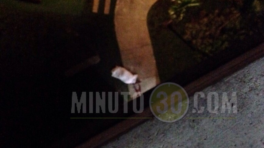 SUICIDIO EN SABANETA (2)