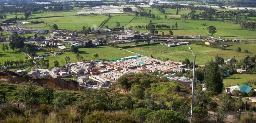 330 árboles fueron sembrados en Tocancipá