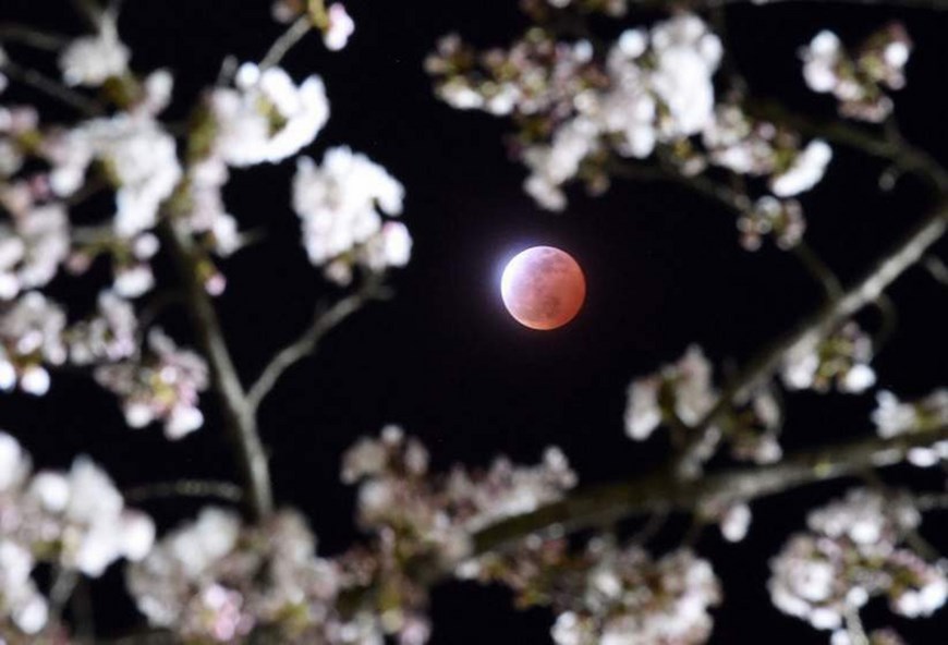 Japan Lunar Eclipse