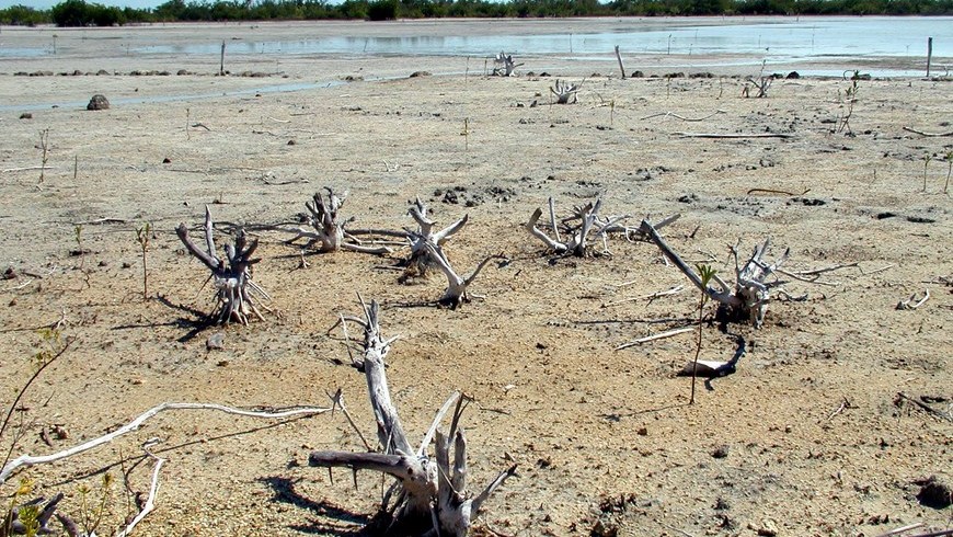 sequia, calentamiento global