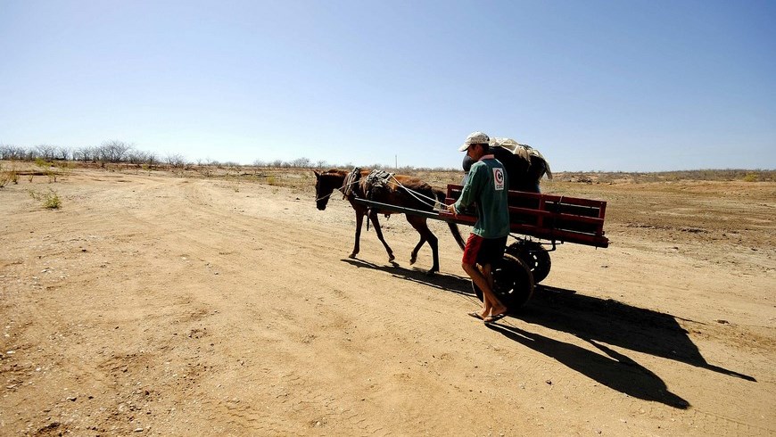 La sequía en el país es evidente a simple vista, especialmente en el norte del país donde la vegetación va perdiendo su habitual verde intenso y donde los numerosos incendios forestales, muchos de ellos presuntamente provocados, se propagan. EFE/Archivo