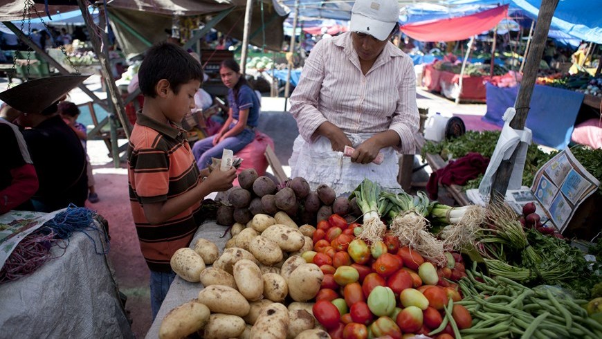 Agricultura, campesinos