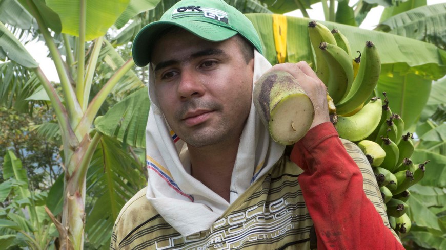 Agrocibol (32) (Copiar)