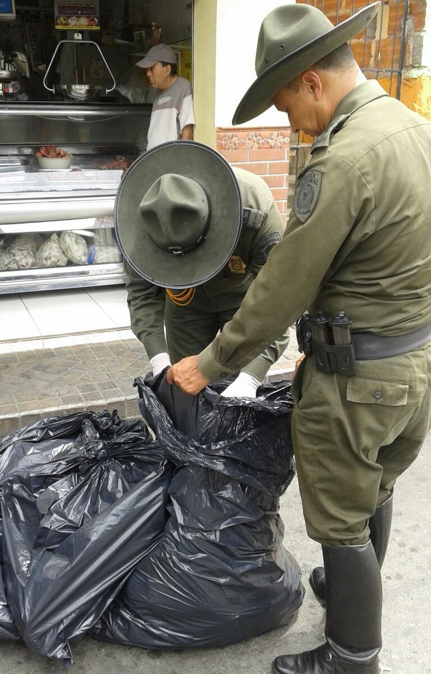 INCAUTACIÓN CARNE (1)