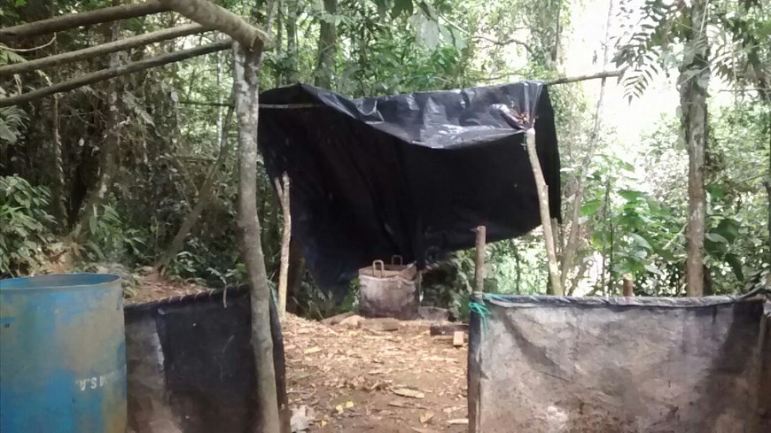 Foto: Fuerza de Tarea Nudo de Paramillo.