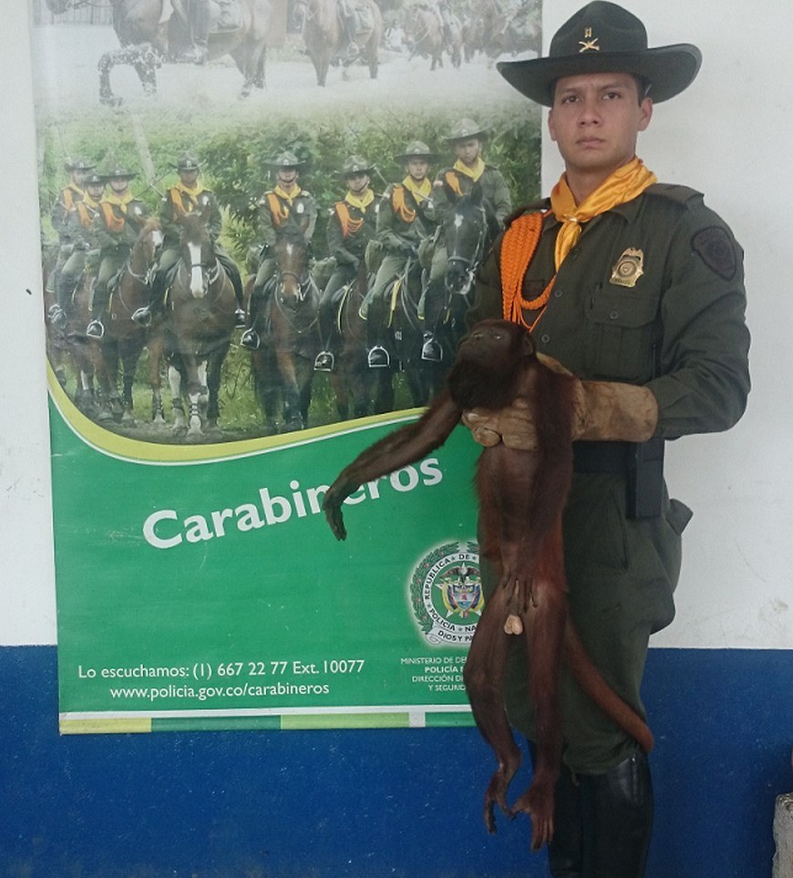 Foto: Policía de Carabineros Caucasia.