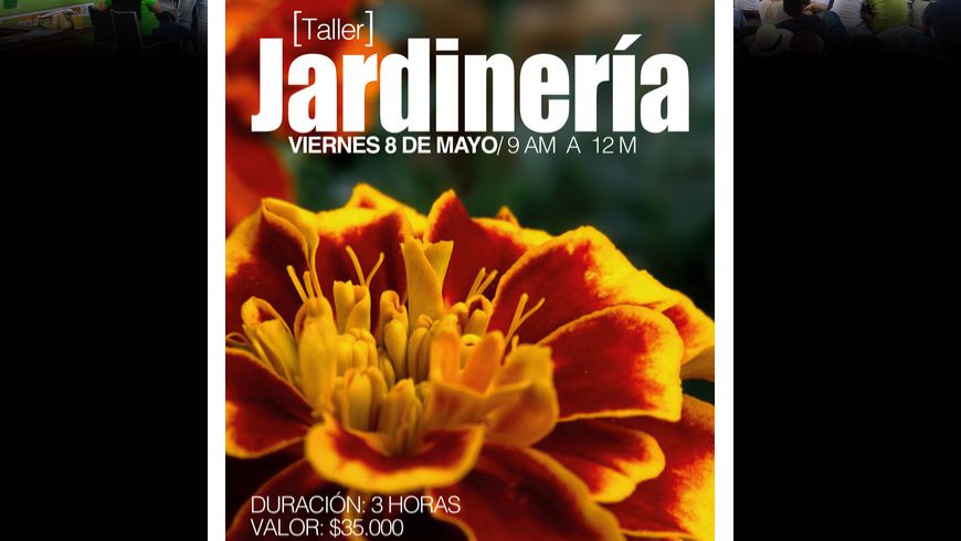 jardineria