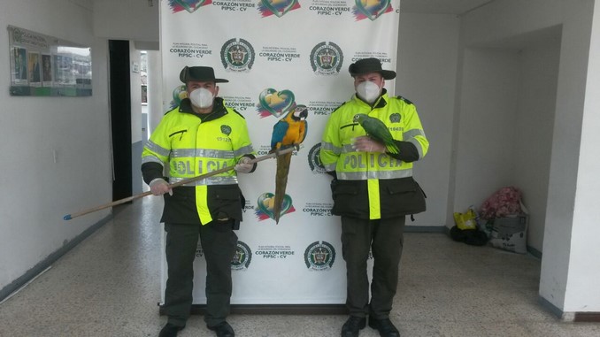 Entrega fauna silvestre