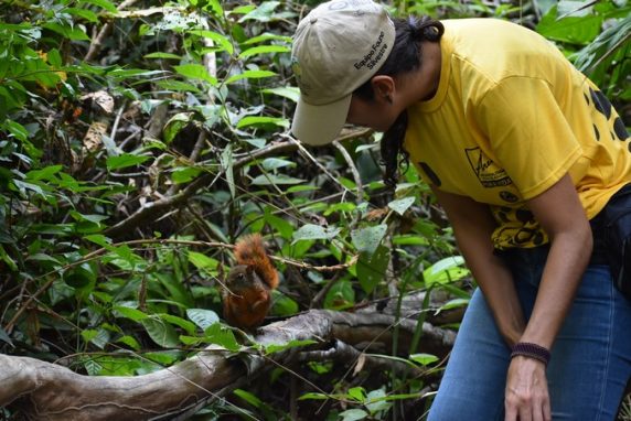 Este año 140 especies de fauna silvestre han sido liberadas en Antioquia