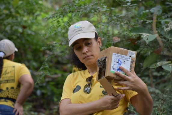 Este año 140 especies de fauna silvestre han sido liberadas en Antioquia