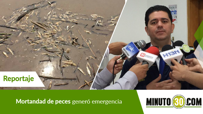 Rodolfo Correa Director (E) Dapard