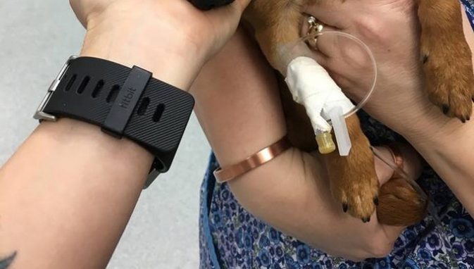 Captura tomada de Facebook