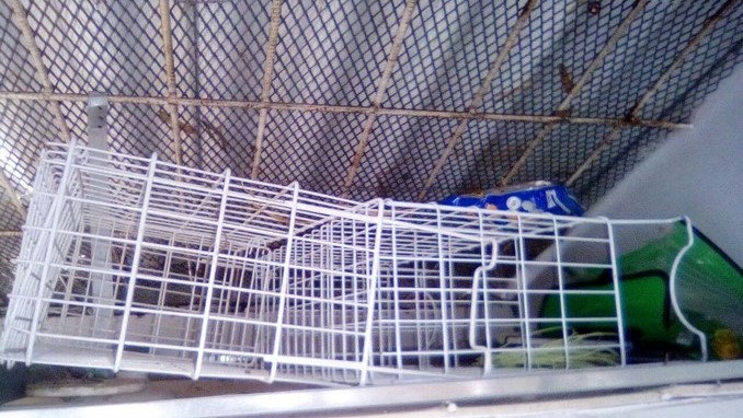 Denuncian continuos robos en tienda de institución educativa de Barbosa