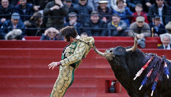 padilla torero