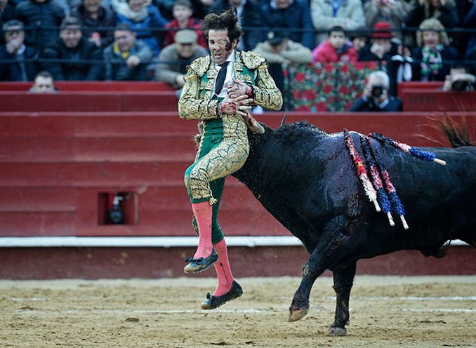 padilla torero