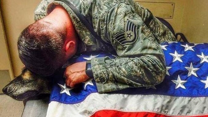 soldado despide a su perro