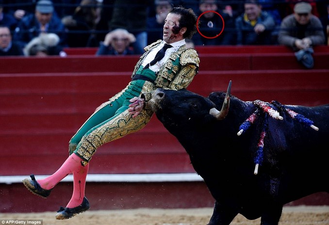 torero padilla