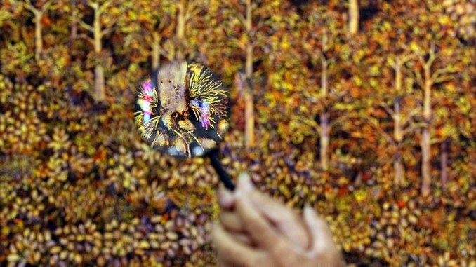 Criaturas y animales empapan el universo en miniatura del pintor colombiano Germán Ríos