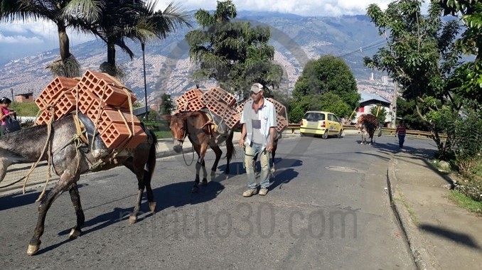 caballos ferreteria santo domingo savio