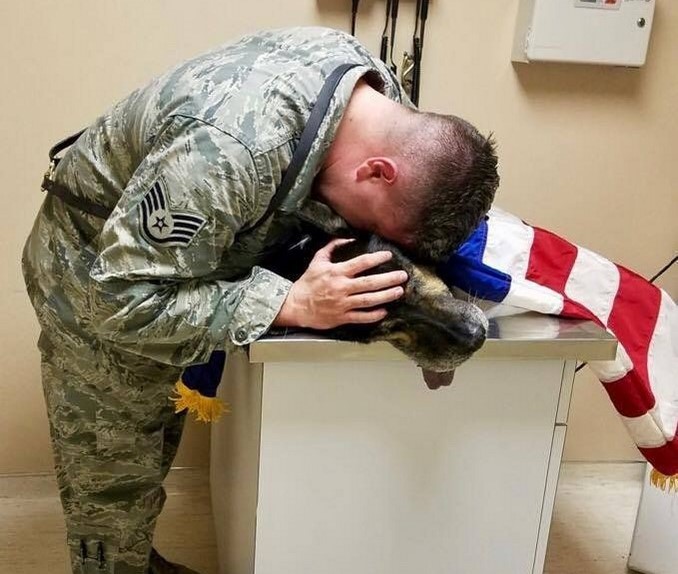 soldado despide a su perro