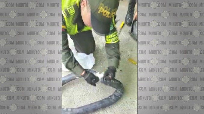 FOTOS Y VIDEO: La Policía incautó caletas del 'Clan del Golfo' en el Occidente y en el Oriente del departamento 10 Caletas del Clan del Golfo.