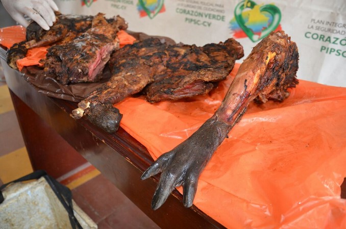 Capturaron a una mujer en Caucasia por vender carne de chigüiro