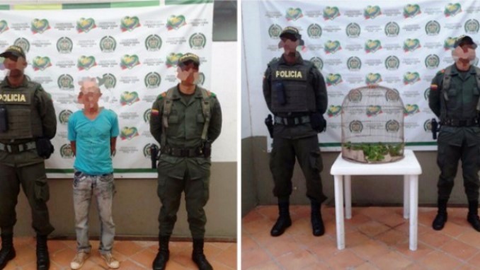 Capturaron a un hombre en Zaragoza con 22 aves silvestres 2 Capturaron a un hombre en Zaragoza con 22 aves silvestres