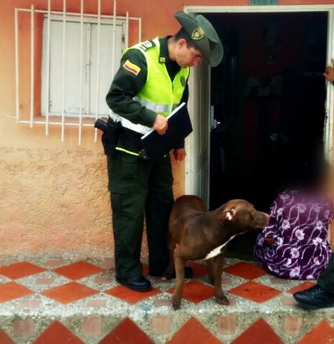 FOTOS: Las sancionaron por permitir que sus mascotas agredieran a transeúntes en Santa Fe de Antioquia 3 Las sancionaron por permitir que sus mascotas agredieran a transeúntes en Santa Fe de Antioquia