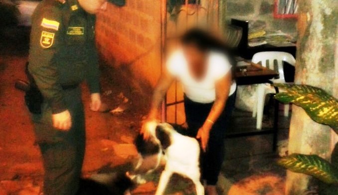 Las sancionaron por permitir que sus mascotas agredieran a transeúntes en Santa Fe de Antioquia
