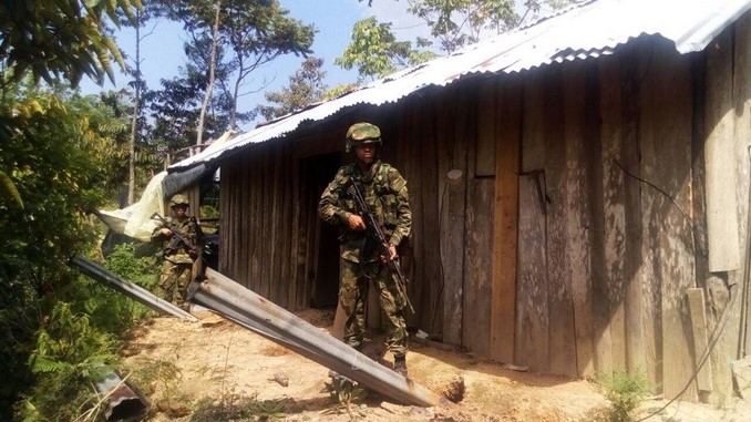 FOTOS: En San Luis el Ejército encontró y quemó 761 kilos de marihuana del 'Clan del Golfo' 5 Depósitos de marihuana destruidos en San Luis.