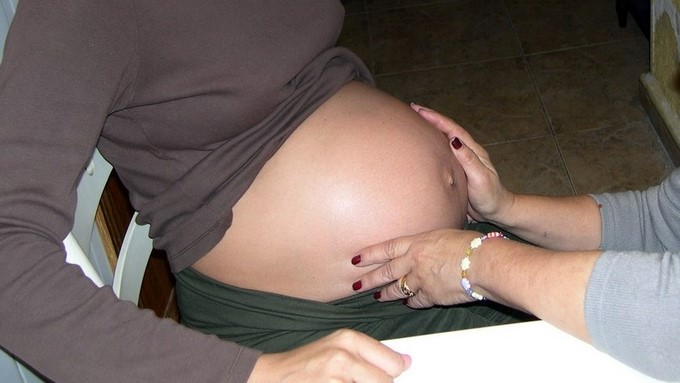 Tu perrito podría descubrir si estás embarazada