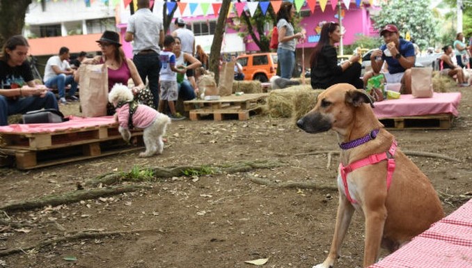 El Festival de Los Animales se tomará la UVA Ilusión Verde este domingo