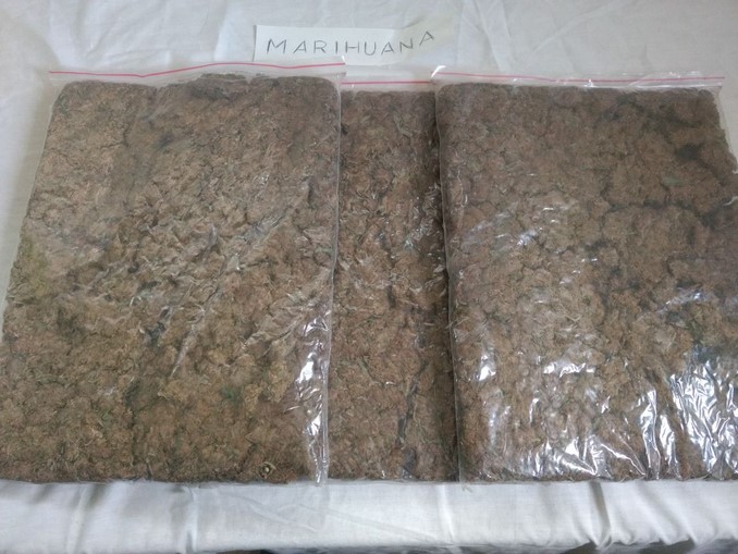 FOTOS: A alias 'Muñeco' le incautaron un kilo de marihuana en San Javier 3 Marihuana incautada a alias 'Muñeco'.