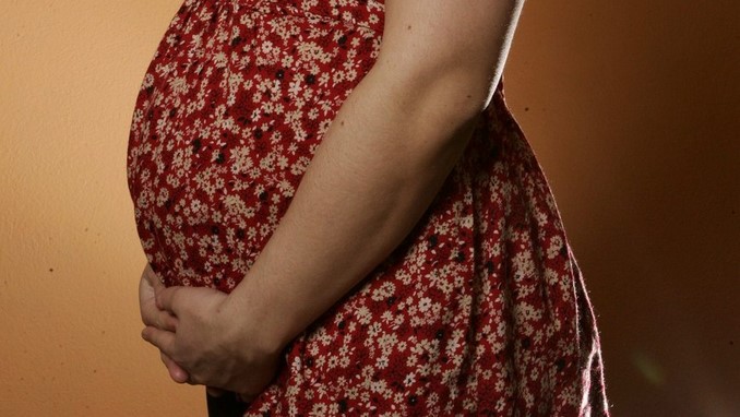 Mujer embarazada. Embarazo.